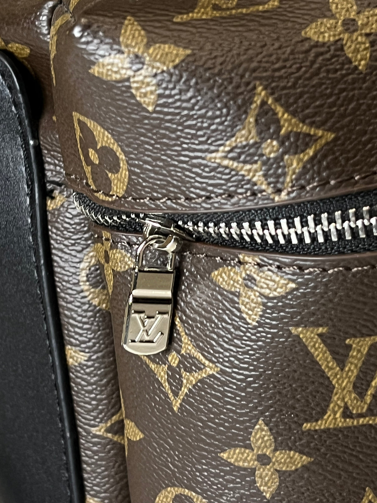 Louis Vuitton Backpack